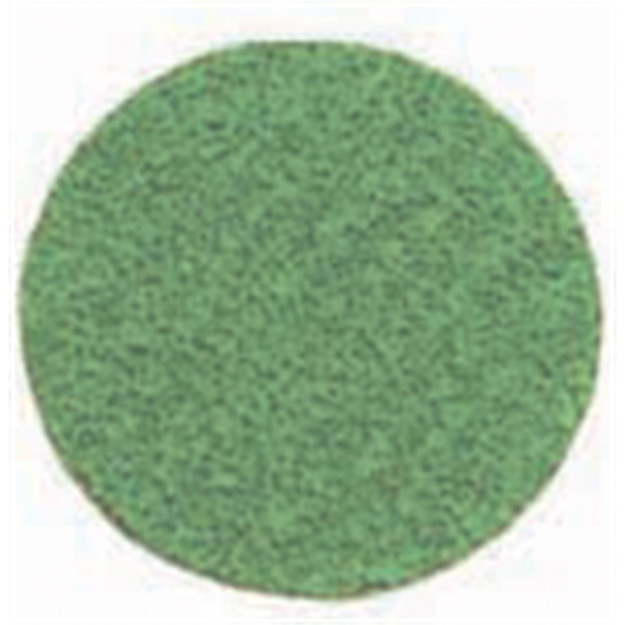 Tire Mechanic's Resource Green Zirconia Abrasive Discs — 2in., 36 Grit, 50 Pcs, Model# TMRMI306-50